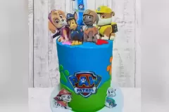 paw-patrol-custom-cake-for-boys-cape-town